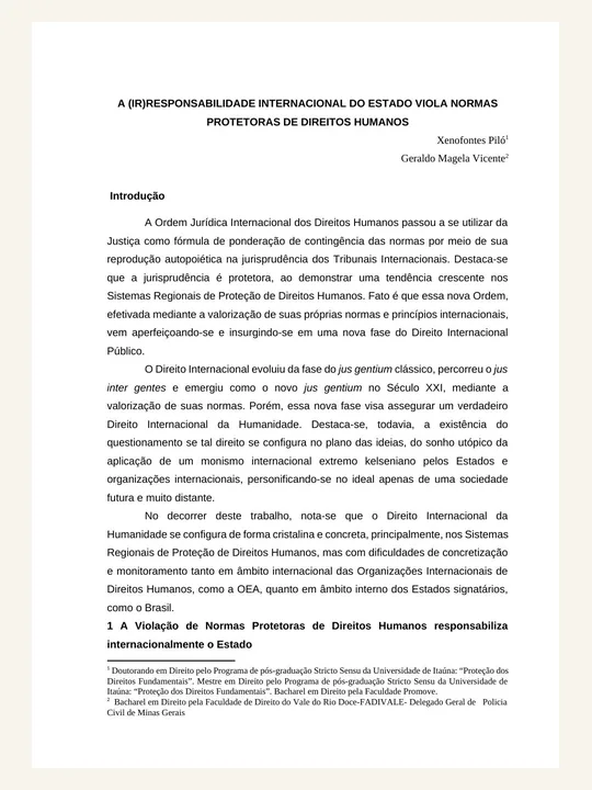 Capa ou primeira página da publicação A (Ir)responsabilidade Internacional do Estado e as Normas Protetoras de Direitos Humanos